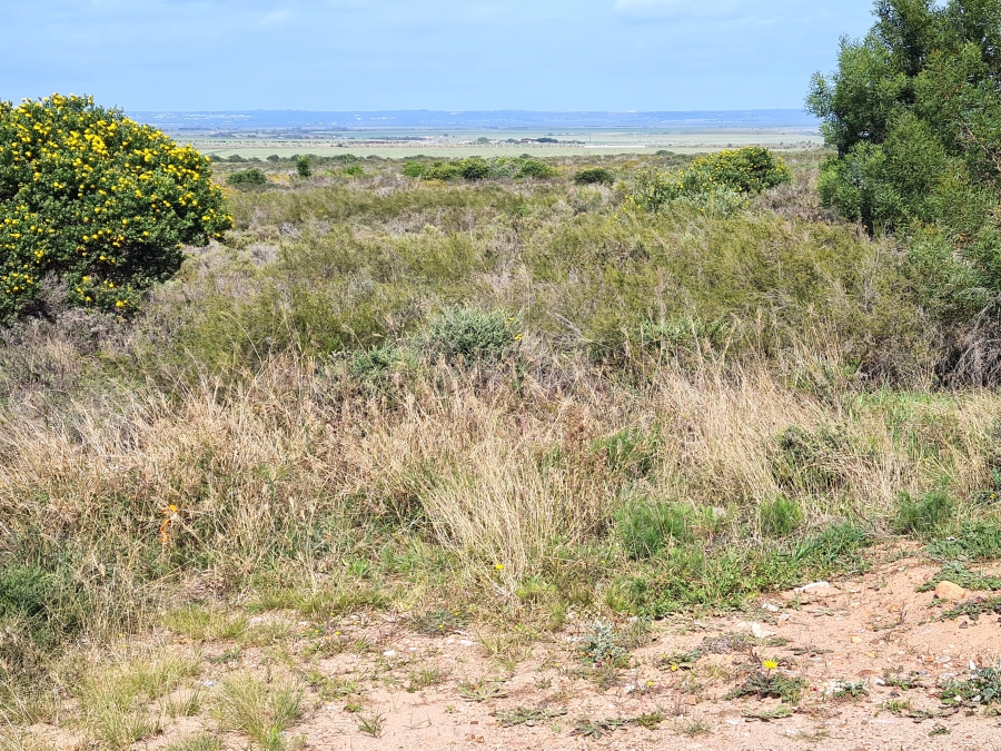 Commercial Property for Sale in Fountains Estate Eastern Cape